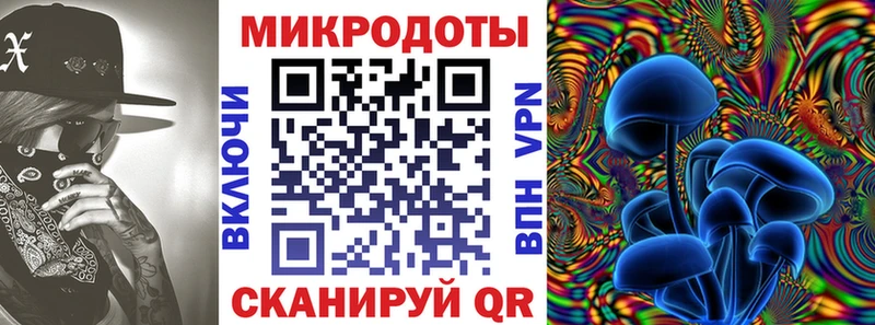 Галлюциногенные грибы Psilocybine cubensis  Одинцово 